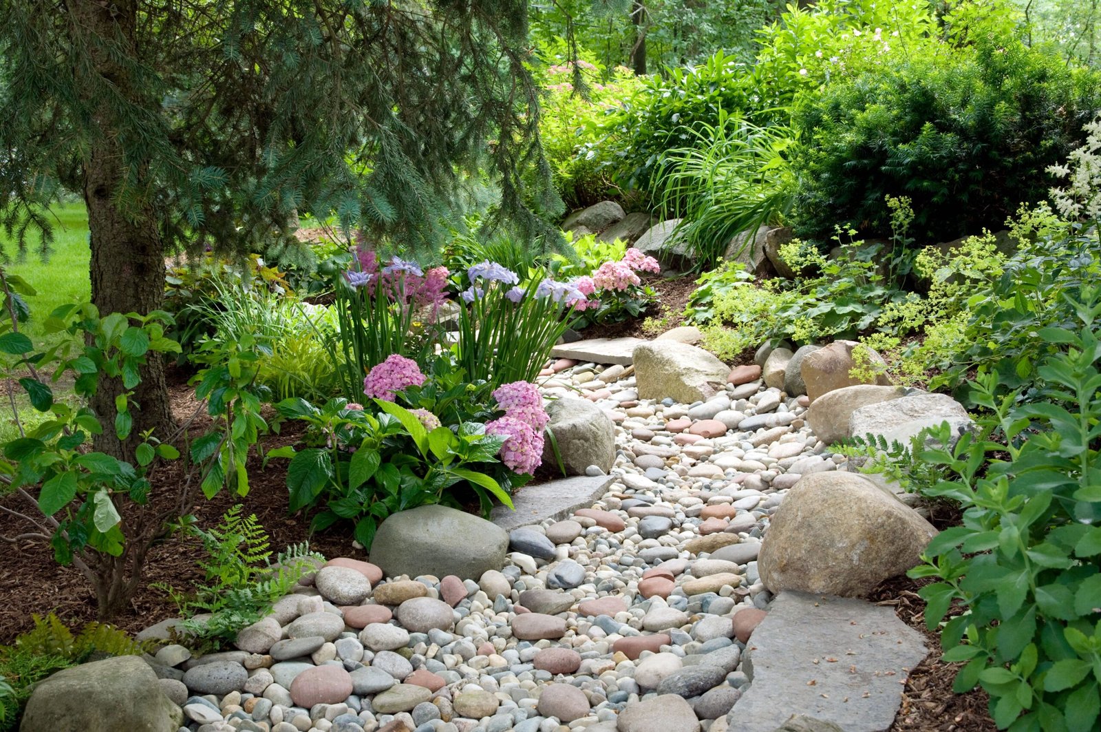 10 Must-Try DIY Dry Creek Bed Ideas for Beautiful, Effective Yard Drainage